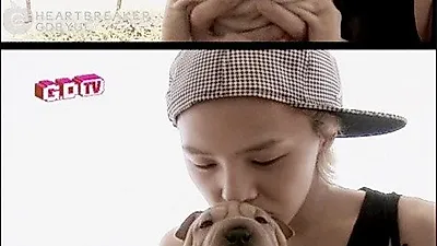 지드래곤 반려견
