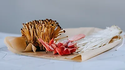 매력적인 식감으로 매니아층 많은 ‘팽이버섯’, 지방 제거에 탁월!