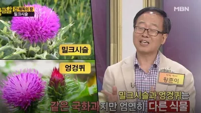 알쓰에게 좋은