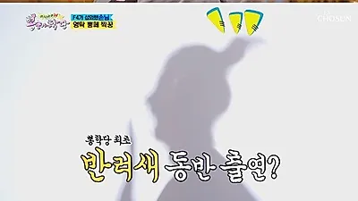노사연과 김완선이 한 남자를 두고