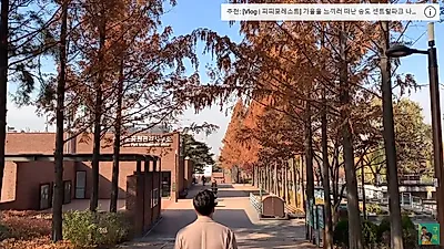 가을이 돌아온다! 선유도부터 뚝섬 유원지까지