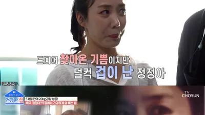정정아가
