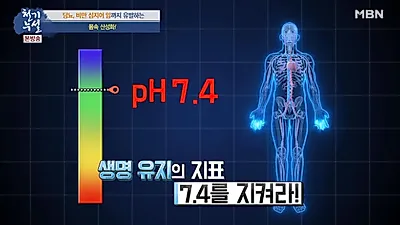 몸 속 산성화 예방하는 바다의 보물