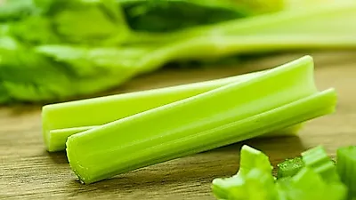 아무리 먹어도 살 안찌는
