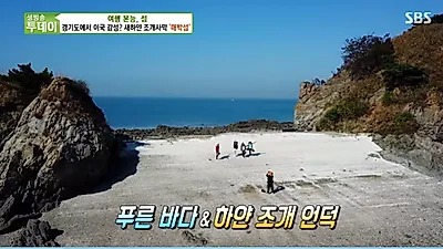 들국화가 지천에?