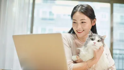 80만 프리랜서가 고용안정지원금 제대로 받는 방법