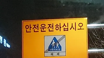 초등학교 앞에서만 교통사고 204건, 스쿨존 안전 강화 확대