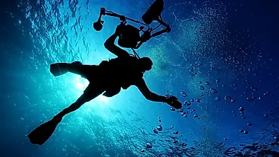살아있는 바다거북 보고싶어? 필리핀 다이빙 명소 Top 6