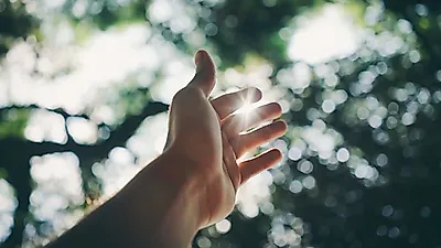 충분한 ‘햇볕’이 우리 몸에 주는 효과