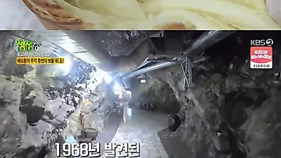 어느 남자 배우가 사랑한 춘천 의암호+빵 맛집