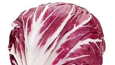 이탈리아 치커리 라디치오 "00을 예방할 수 있다?" (+효능,부작용)