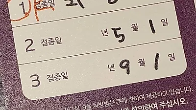 중학생때 맞아야 효과 최고라는 자궁경부암 주사