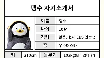 면접에 가장 중요한