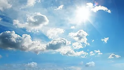감기에 걸렸을 때 차를 마시면 좋은 이유