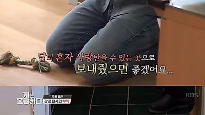 '개는 훌륭하다' 강형욱이 '코비' 견주에게 무릎 꿇고 한 말(+충격)