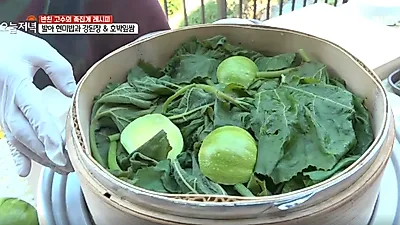 까슬한 느낌이 매력인 호박잎! 어떤 효능 있을까? (+먹는 법)