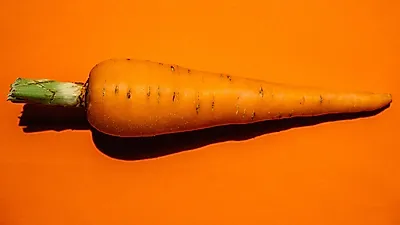 눈에 좋은 당근, 또 다른 효능은?