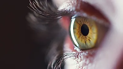 일상을 방해하는