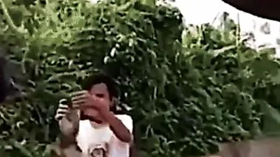 고양이를