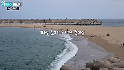 #ㅅㅊ
