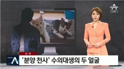 유튜버