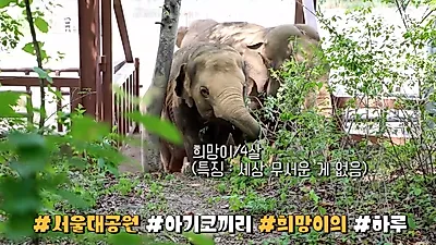 아이들과 가기 좋은 동물원 BEST6