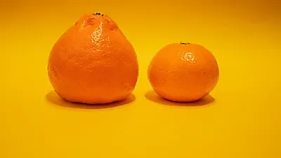 추운 겨울에 좋은