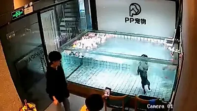 물에 빠져