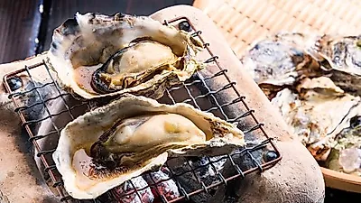 남자한테 좋은 정력(스테미너) 강화 음식 (+효능)