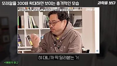 300배 확대한 화려한 모래, 99%가 생물 사체…우리나라 모래는 주로 광물
