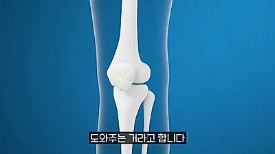 "내 몸에 들어온 타인의 인대"… 낯선 세포 지우는 조직 은행의 깐깐한 공정