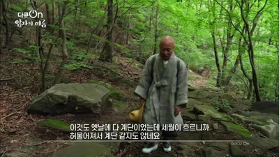 "나만큼 부자 있어?" 척박한 산중 암자, 새들의 '보호자'가 된 스님
