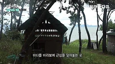 "누구도 방해하지 않는 곳" 30년 직장 생활 끝에 무인도에 집 지은 남자의 선택