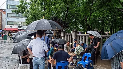월·화 비 그친 뒤 수요일 아침 6도까지 '뚝'…목요일 내륙 일교차 10도 이상