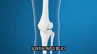 "내 몸에 들어온 타인의 인대"… 낯선 세포 지우는 조직 은행의 깐깐한 공정