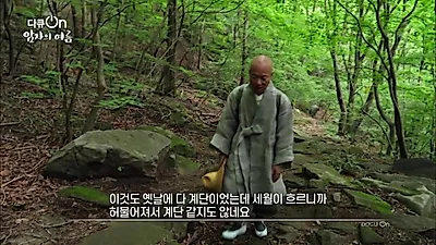 "나만큼 부자 있어?" 척박한 산중 암자, 새들의 '보호자'가 된 스님
