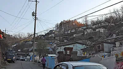 김장철 노로바이러스 감시 강화…작년 노로 식중독 68건으로 늘어