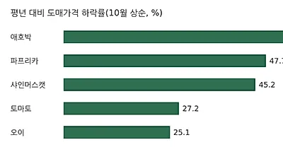 애호박·파프리카 도매값 평년 절반 수준…정부 최대 20% 할인